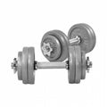 2025 Set de mancuernas de fundición 30 kg plateado