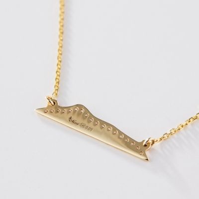 Joyería hawaiana / Oro amarillo de 14 quilates / Collar con cabeza de diamantes / Diamante