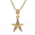 Joyería hawaiana / K14YG / Colgante Estrella de Ángel