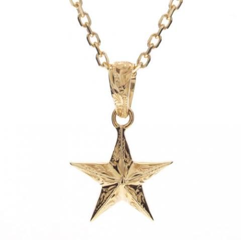 Joyería hawaiana / K14YG / Colgante Estrella de Ángel
