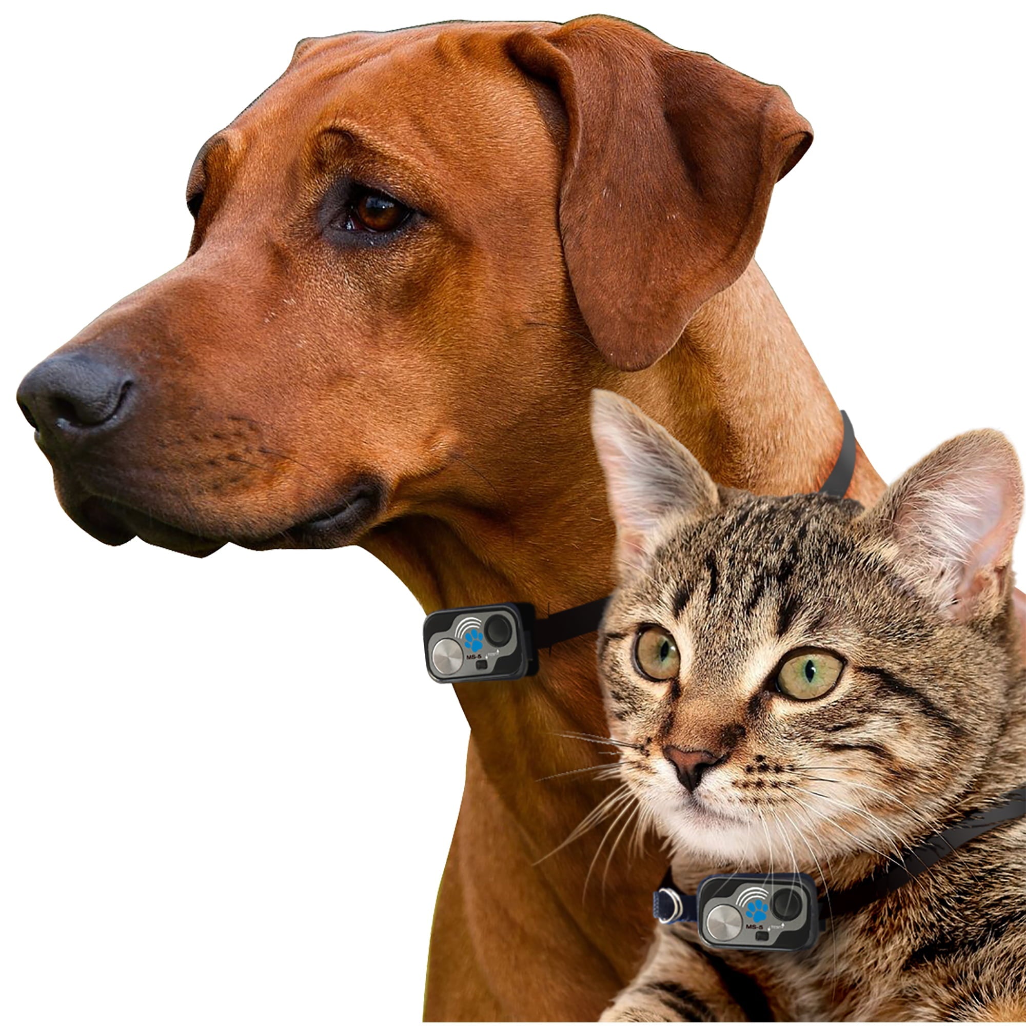 2025 Puerta Electrónica para Mascotas Power Pet Grande PX-2