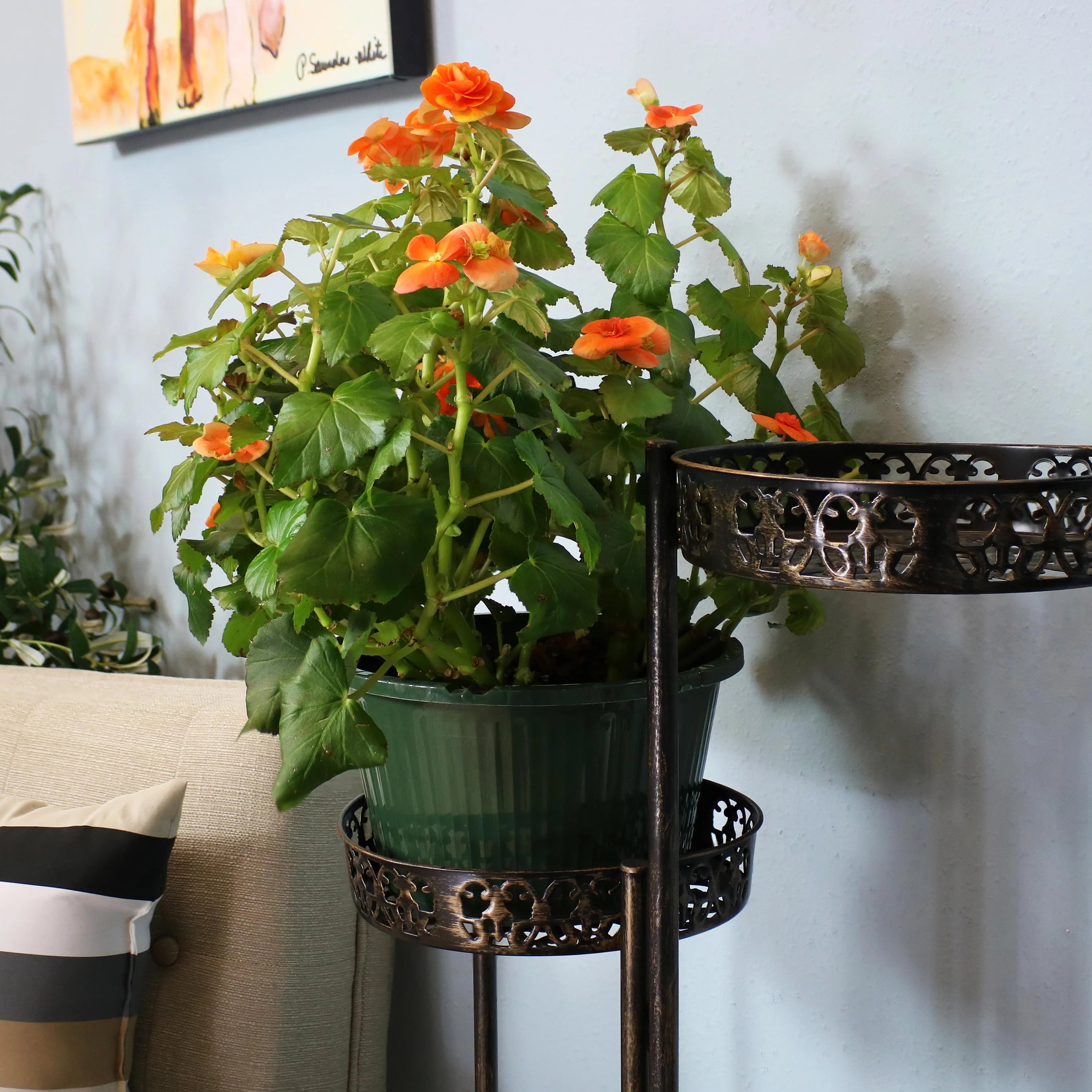 2025 Soporte Plegable para Plantas Sunnydaze de Acero en Bronce con 10 Niveles para Interior y Exterior - Altura 117 cm