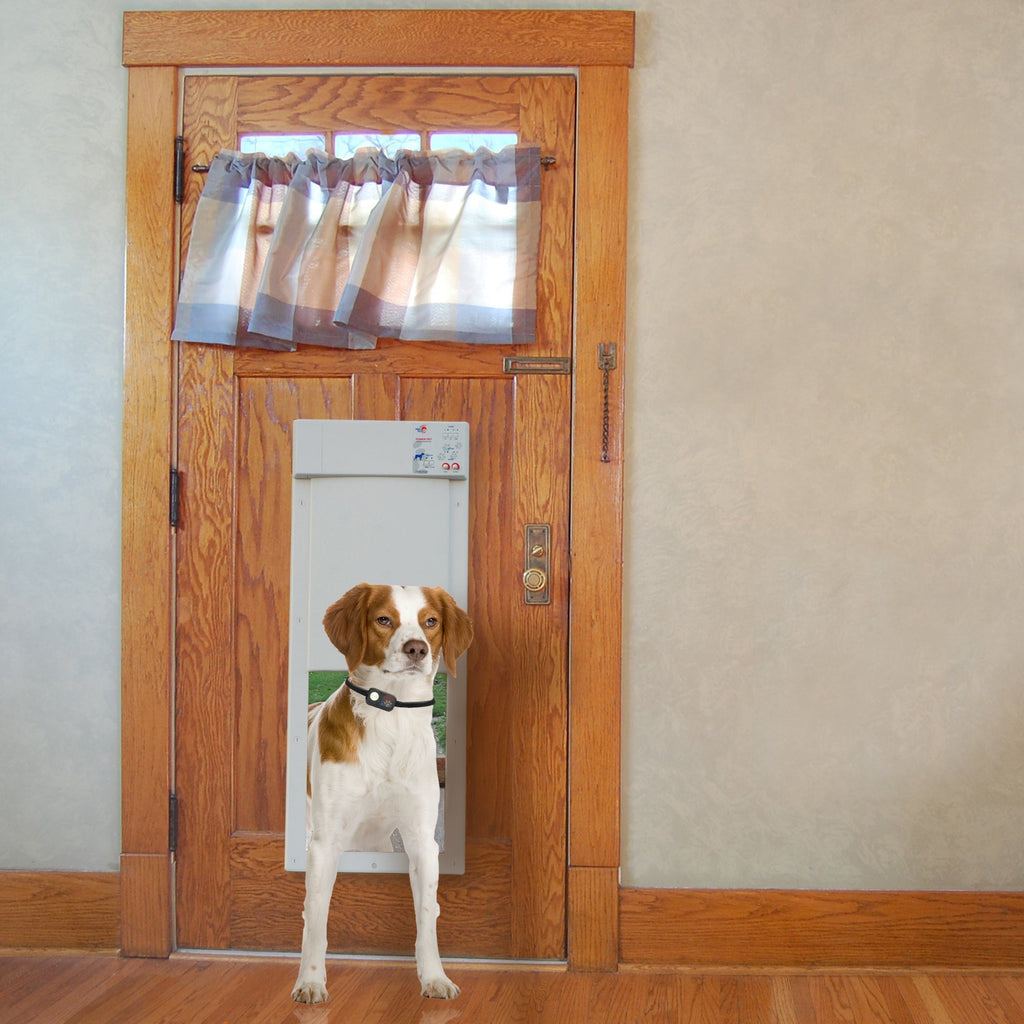 2025 Puerta Electrónica para Mascotas Power Pet Grande PX-2