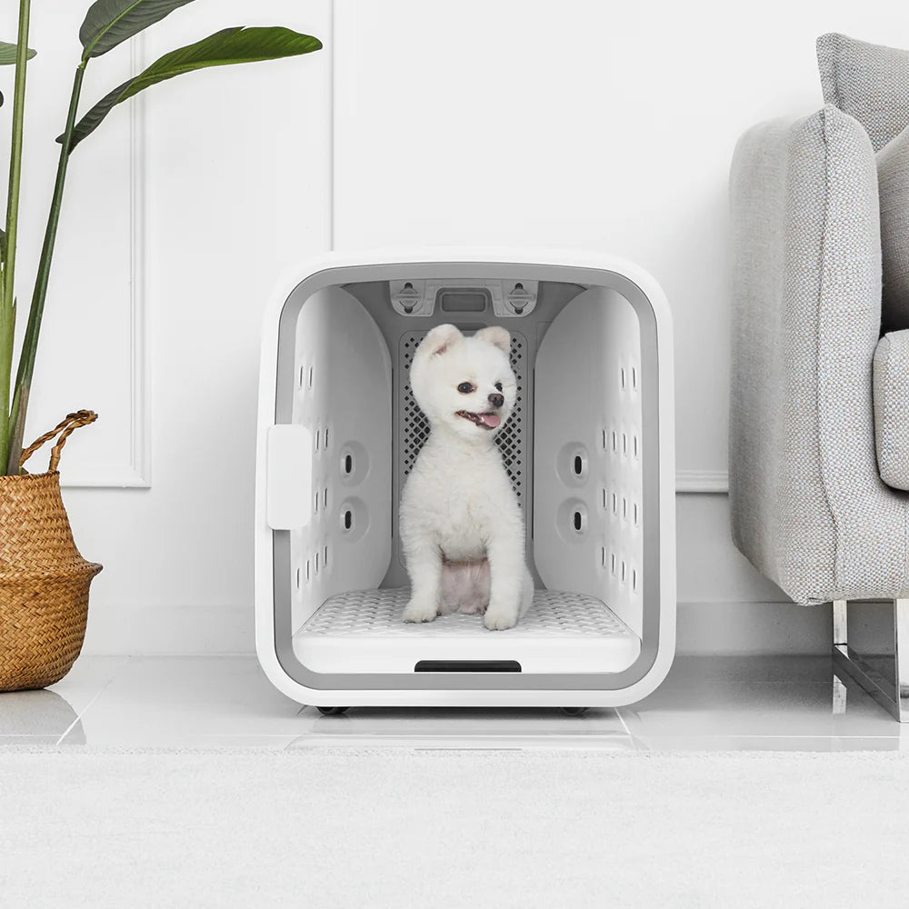 2025 NELLO Ducha de Aire y Secador de Pelo para Mascotas (ND-A0609FG)