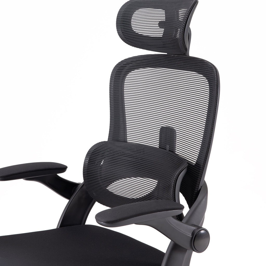 2025 Silla de Oficina Ergonómica Sihoo M102C con Soporte Lumbar de Nivel Superior
