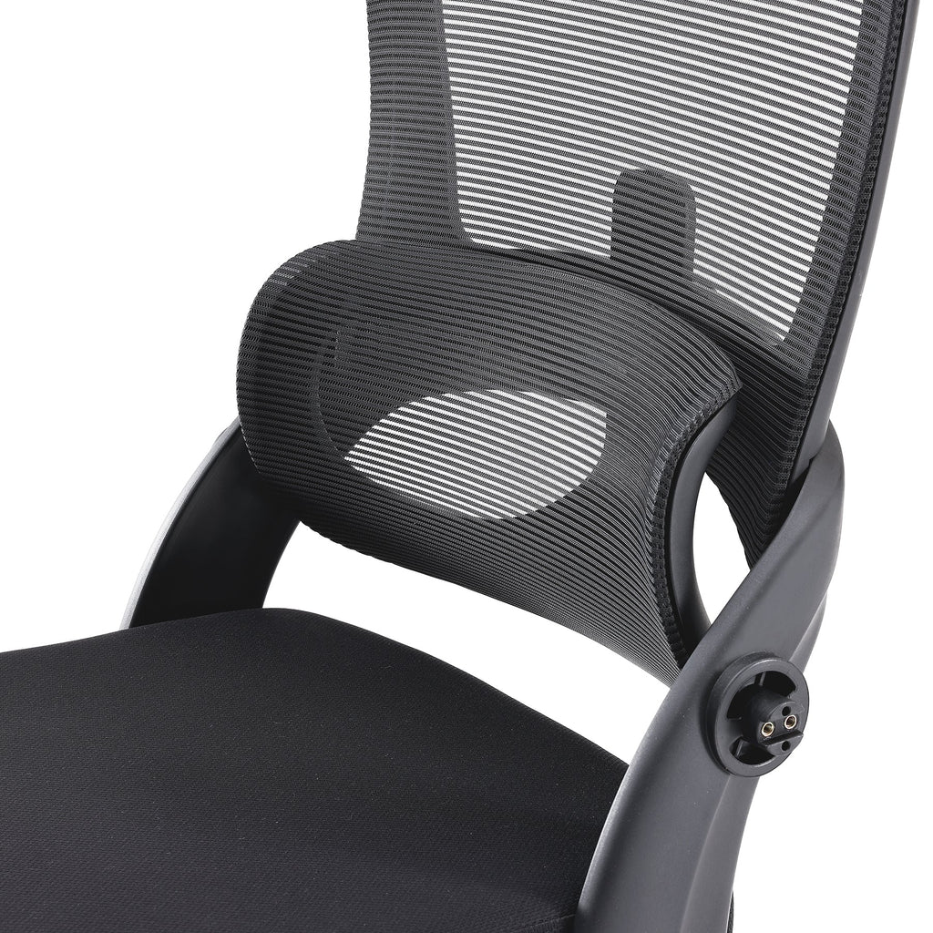 2025 Silla de Oficina Ergonómica Sihoo M102C con Soporte Lumbar de Nivel Superior
