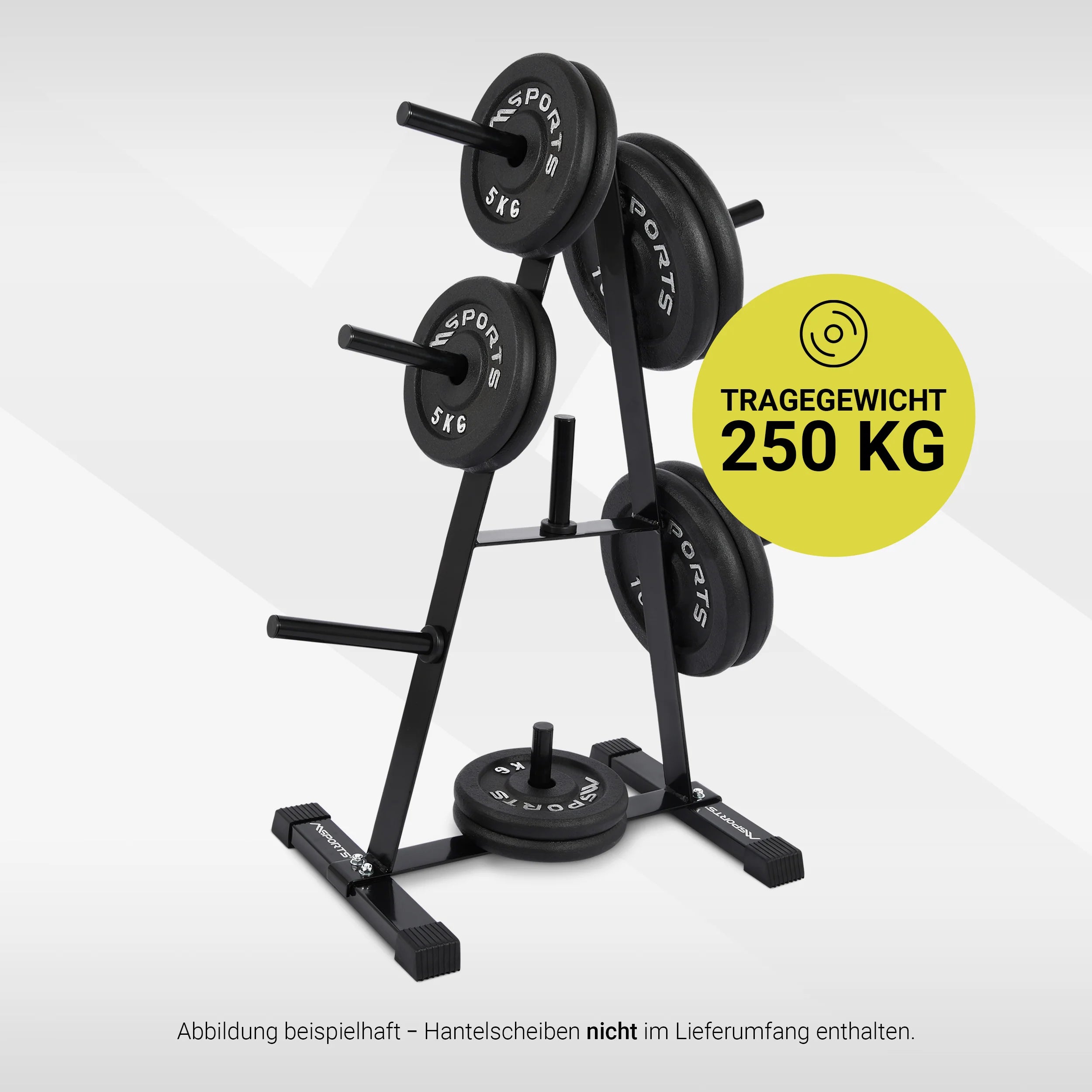 2025 Soporte Premium para Discos de Pesas