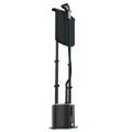 IronHero 2000 Vertical Station
