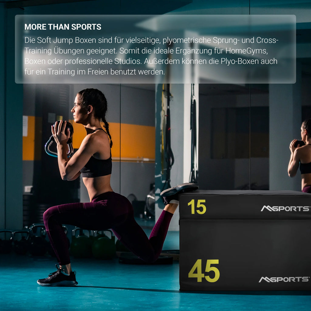 2025 Plyo Box Profesional