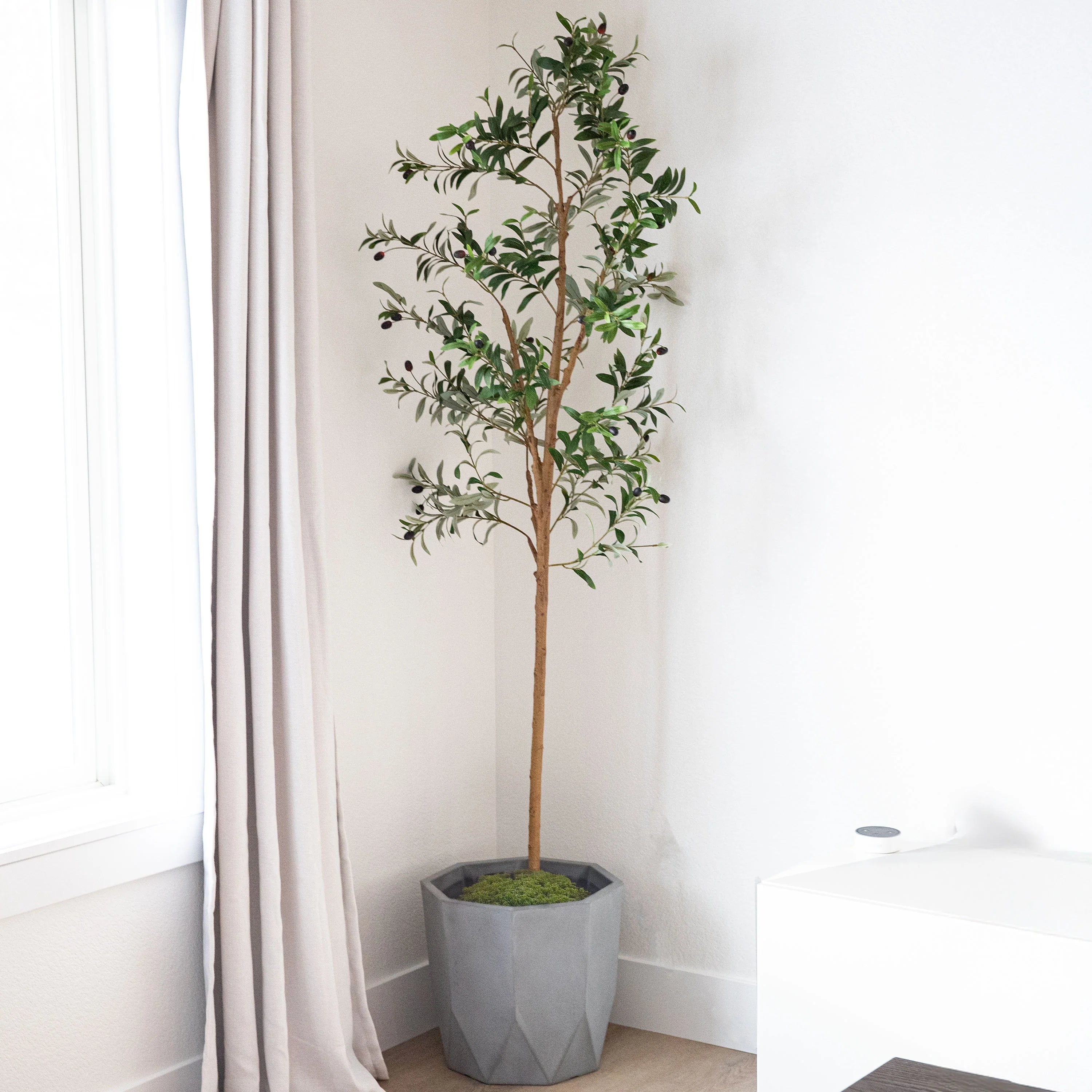 2025 Árbol de olivo artificial en maceta con hojas de seda de Sunnydaze