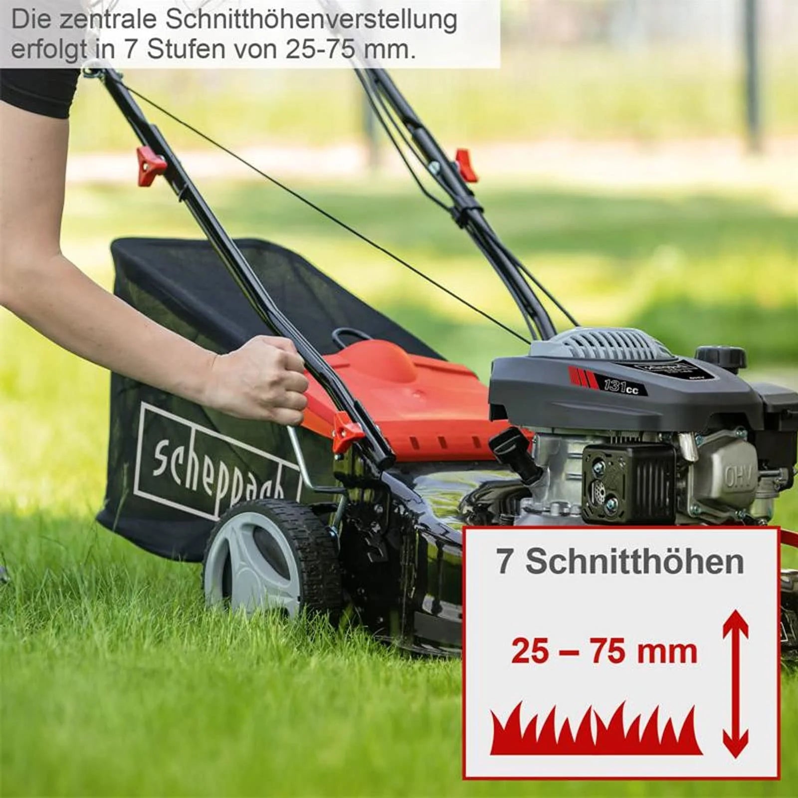 2025 Cortacésped Scheppach RM420 | 3 en 1 – 3,4 CV | Ancho de corte 420 mm | Cesto de recogida 45 L | Ajuste de altura de corte 25-75 mm | Incluye aceite para motor y cuchilla de repuesto