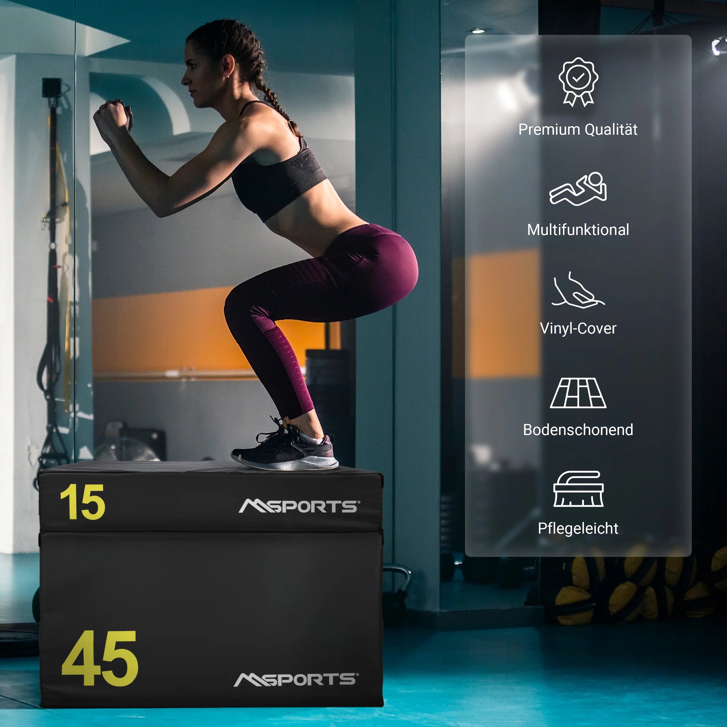 2025 Plyo Box Profesional