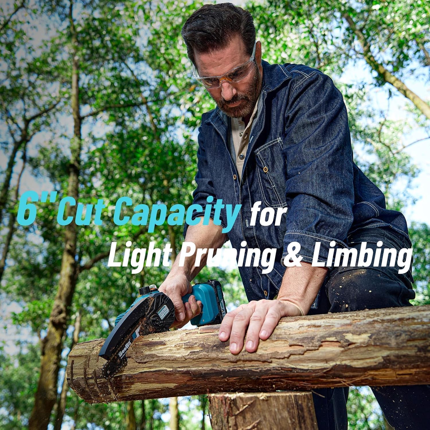 SEESII 2-in-1 Cordless Chain Saw and Mini Chainsaw with 2 4000mAh Batteries, 8 Inch Brushless Chainsaw with Telescopic Pole, Extendable up to 15 Feet for Tree Pruning